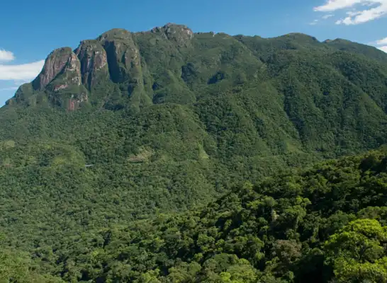 Roteiro Morretes e Antonina