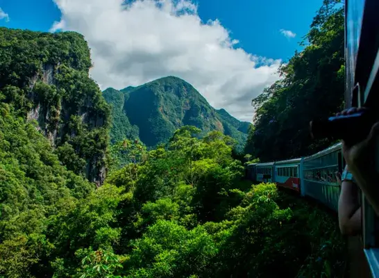 Curitiba Morretes de Trem