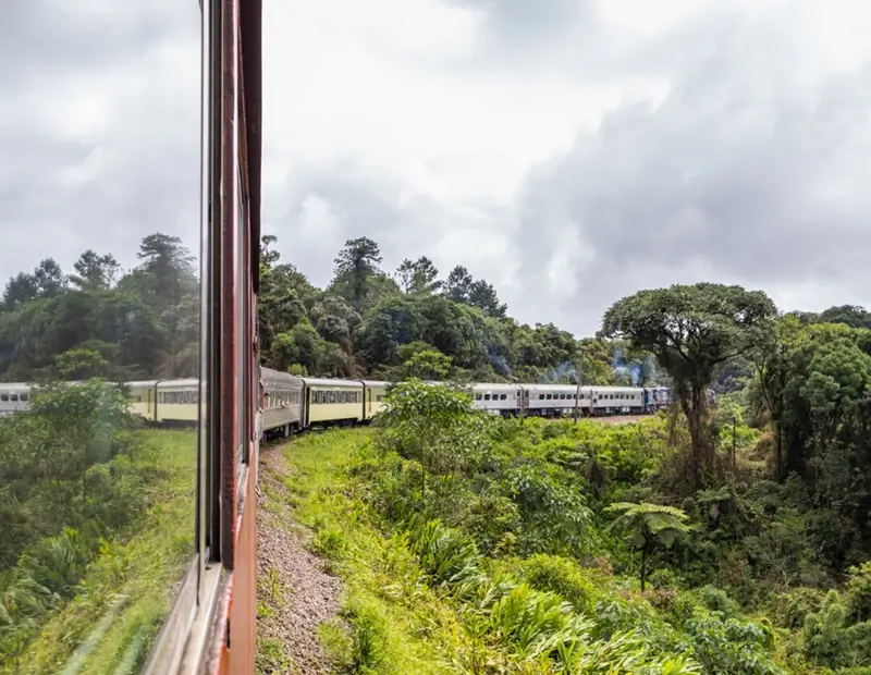 Balas de banana Antonina