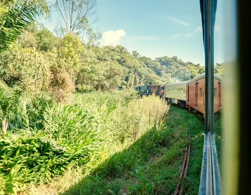 Passeio Morretes e Antonina Trem