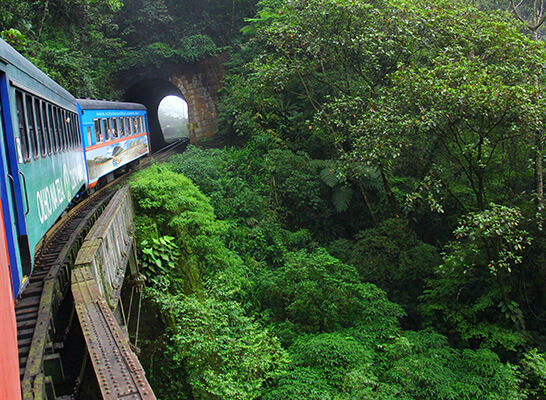 trem curitiba morretes de rotadosoltur.com.br