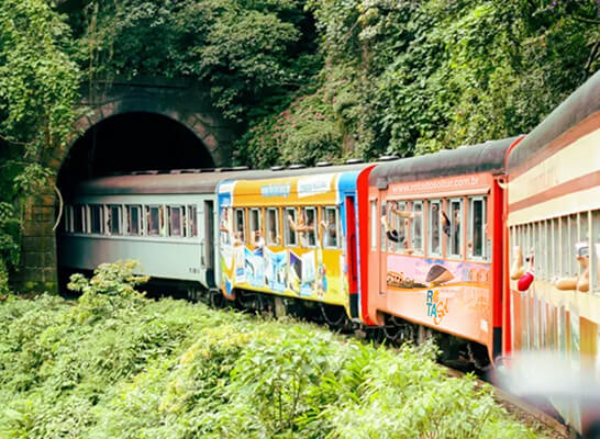 Passeio de trem Curitiba